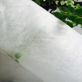 Amostra grátis de tecido não tecido solúvel em água fria PVA branco de 40 graus em rolos